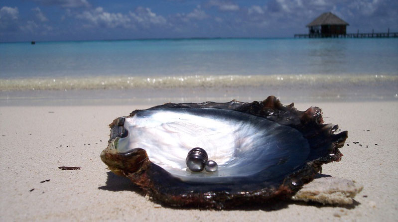 Fakarava la perle des Tuamotu